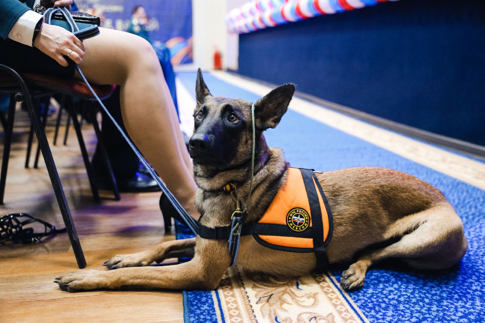 пожарные, мчс, награждение,