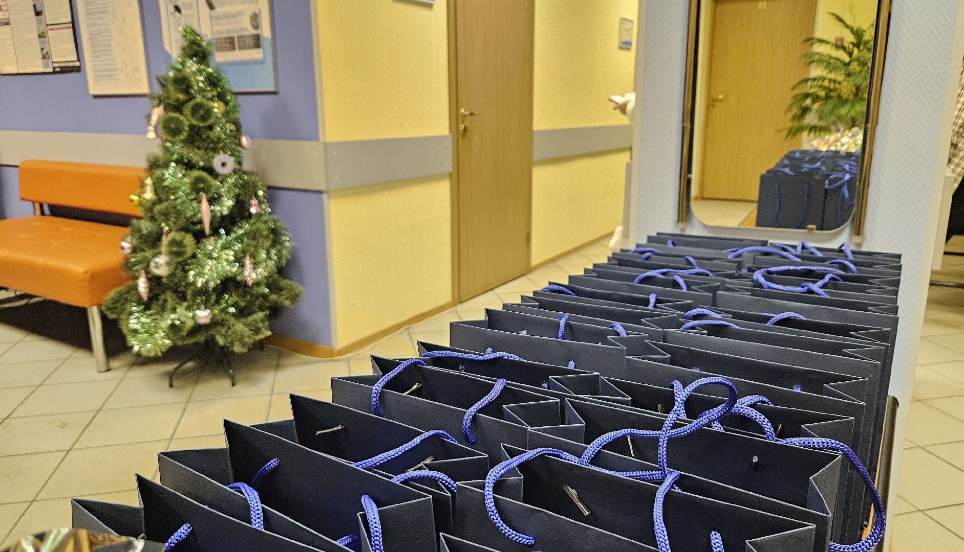 долгопрудный, активное долголетие, центр культурно-общественных связей, сво, клубочек, пенсионеры подмосковья,