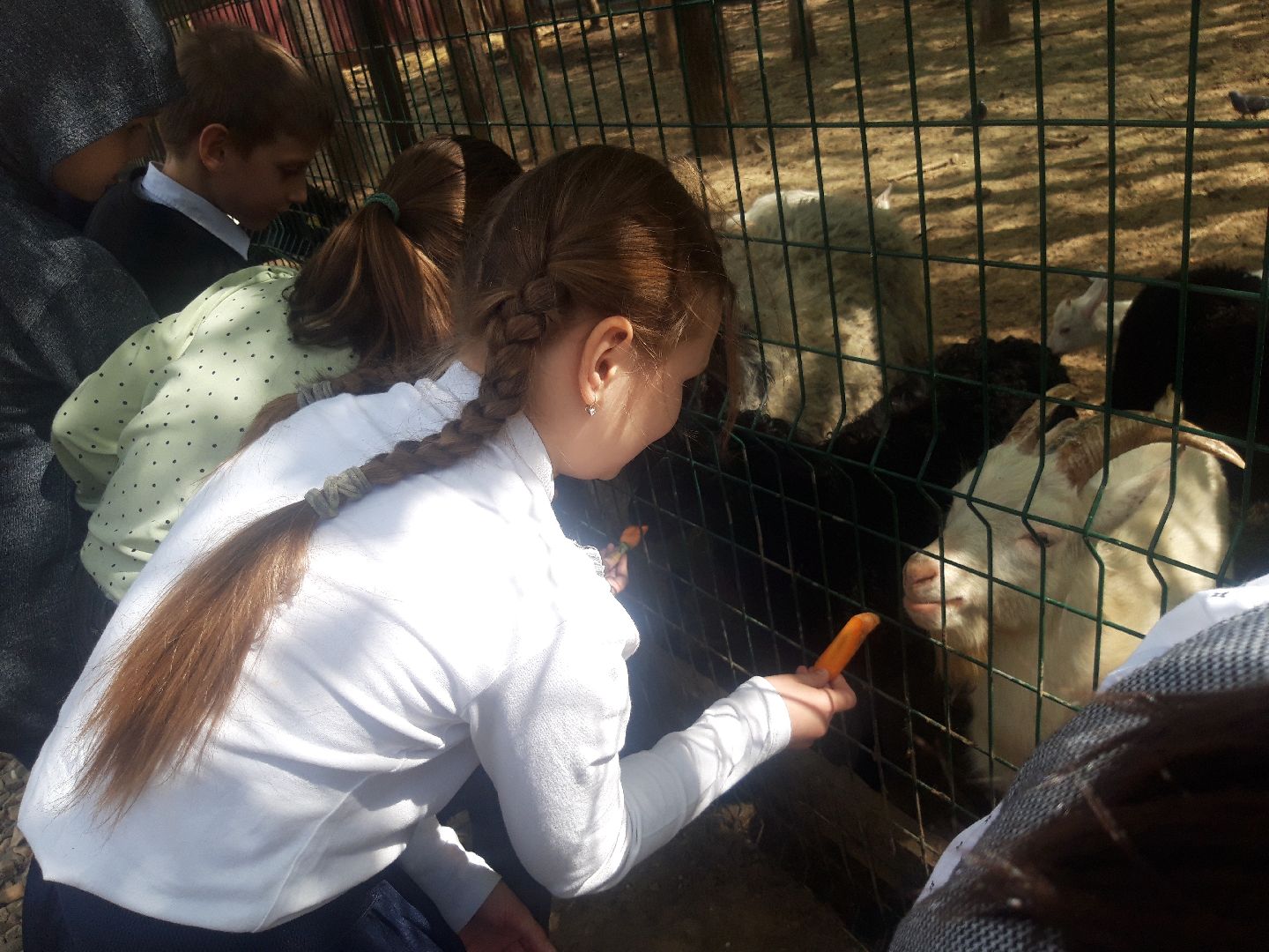 дети, школы, доброе дело,