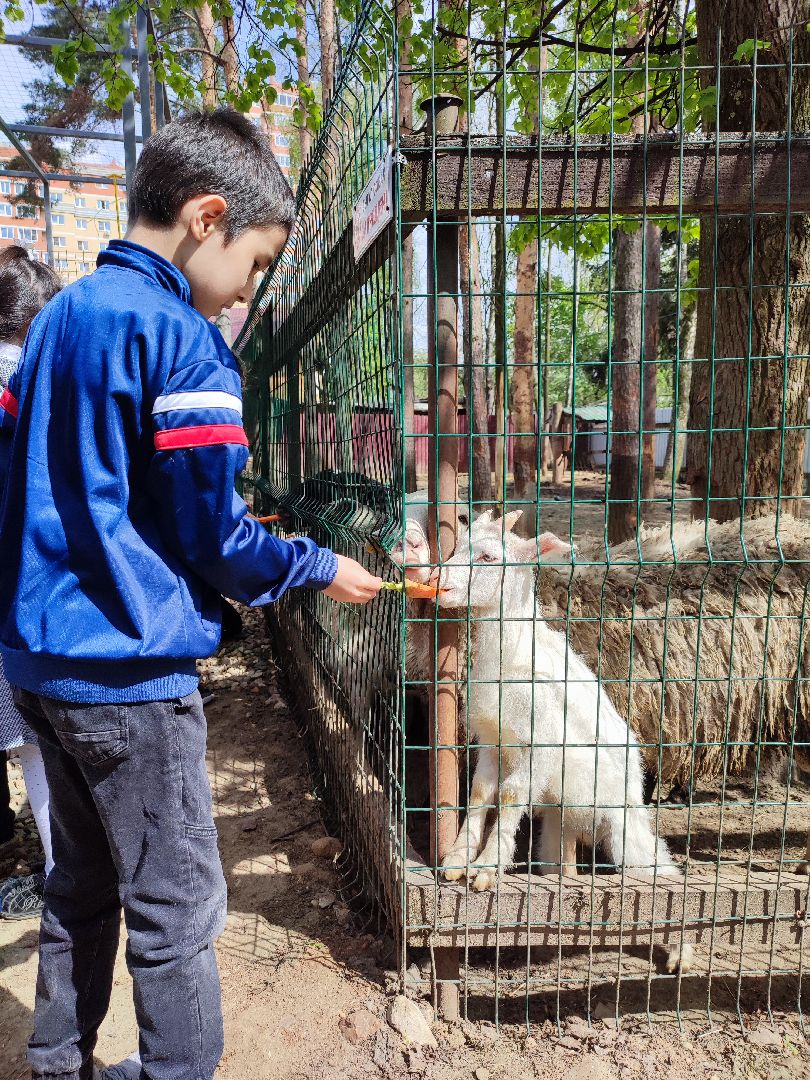 дети, школы, доброе дело,