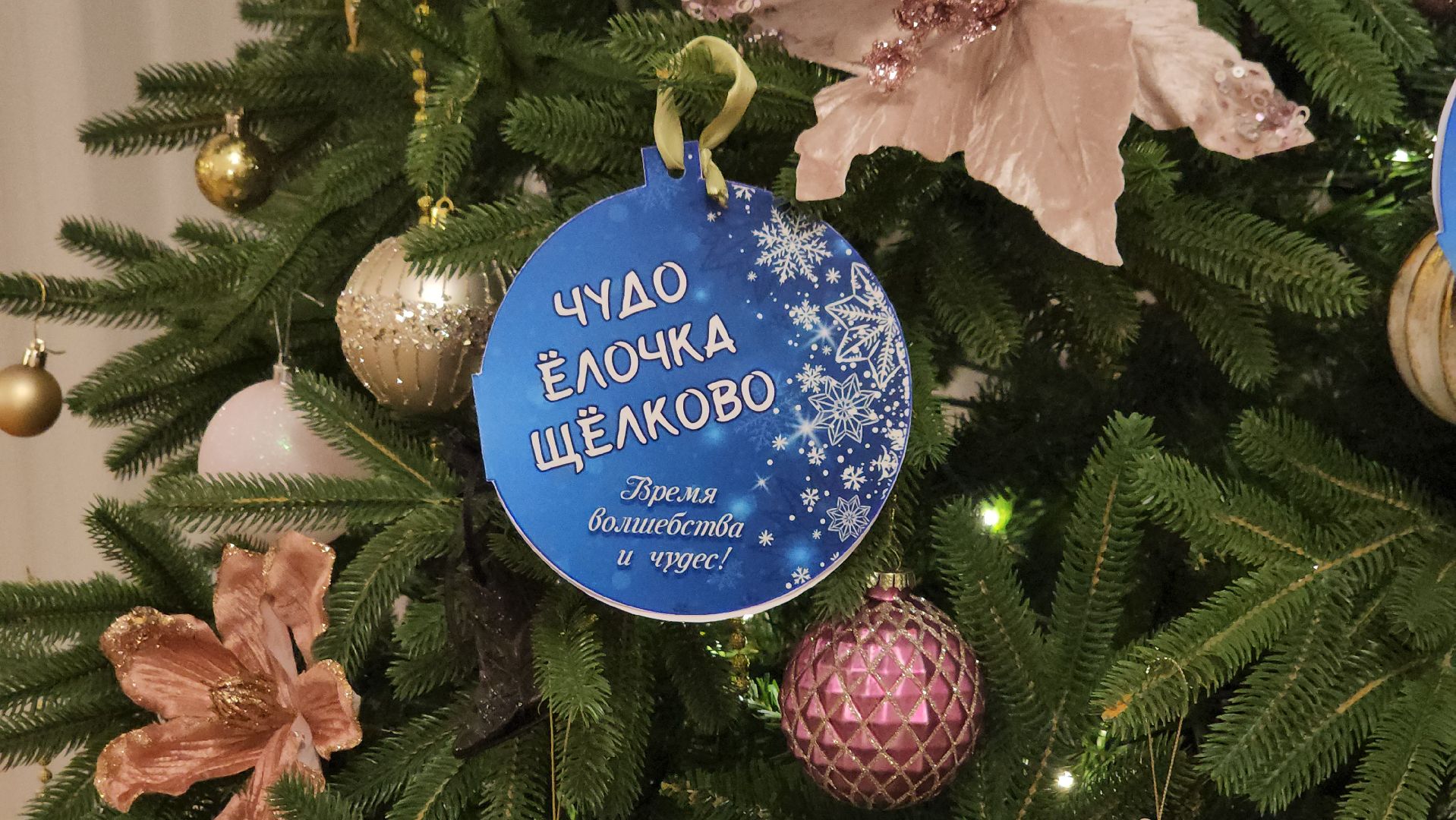 щёлково, елка желаний, фряново,