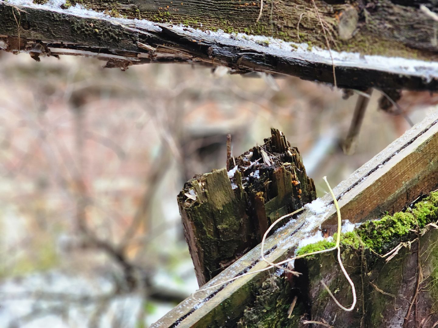 том сойер фест,сохранение истории,историческая память, старая купавна, богородский городской округ,