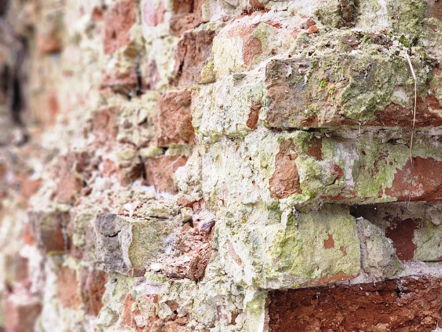 том сойер фест,сохранение истории,историческая память, старая купавна, богородский городской округ,