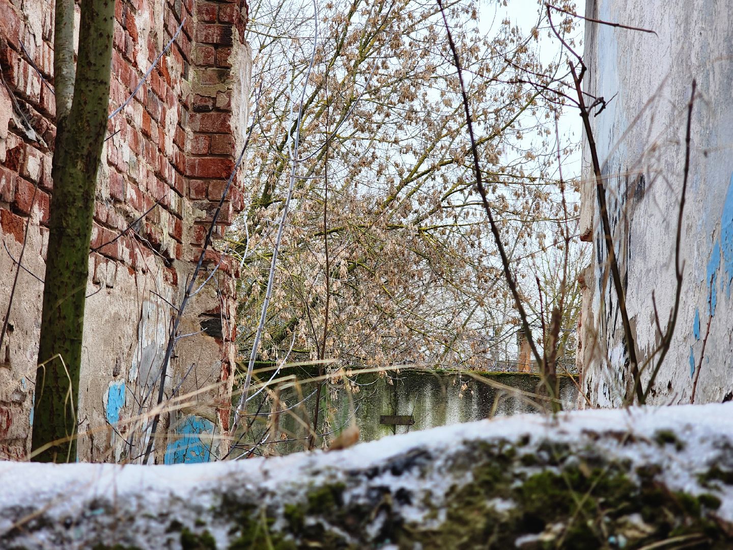 том сойер фест,сохранение истории,историческая память, старая купавна, богородский городской округ,