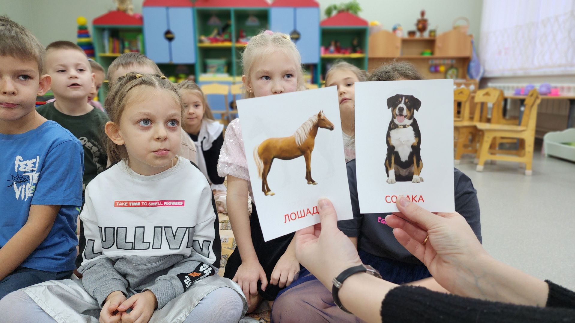 руза, тучково, школа 1, образование,