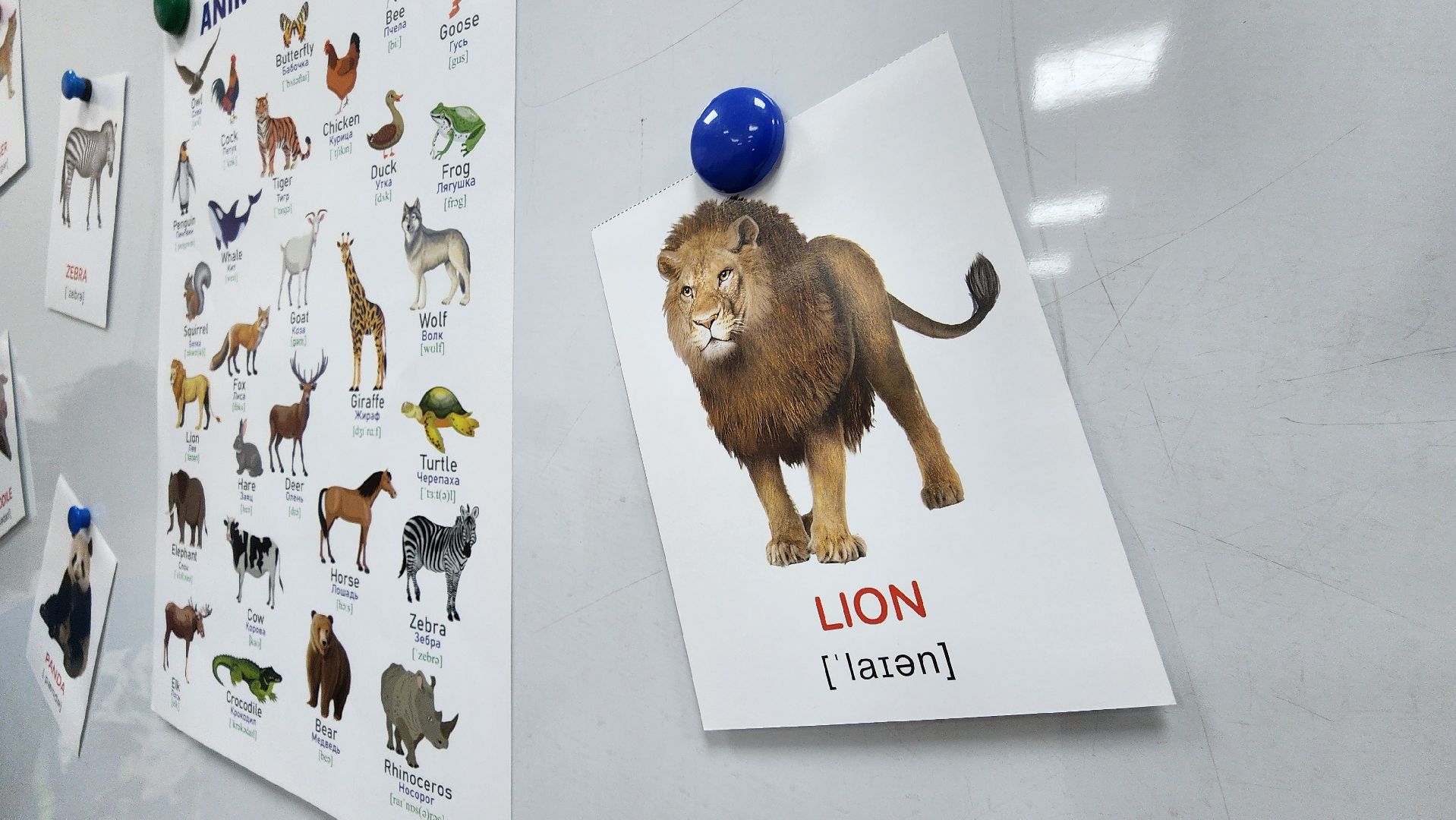 руза, тучково, школа 1, образование,