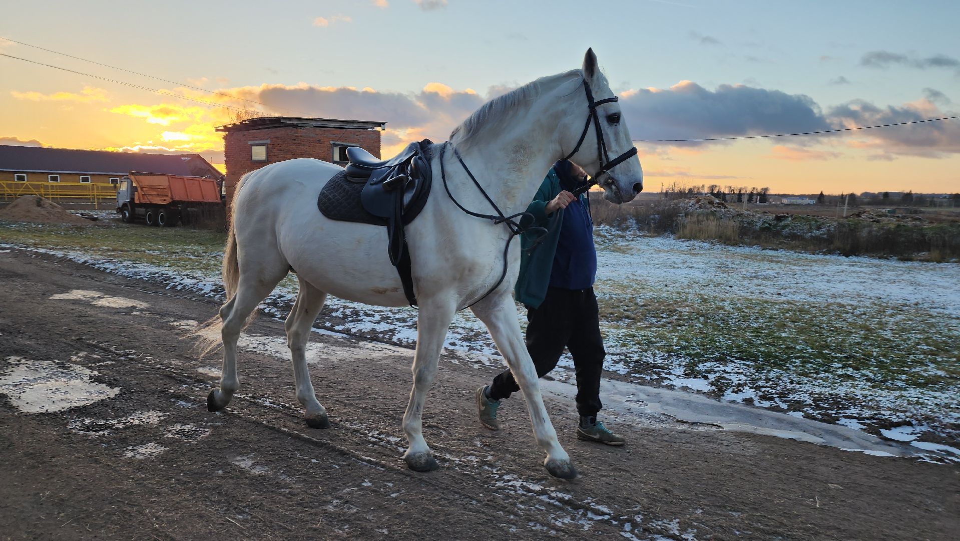 год лошади, волоколамск, символ нового года,