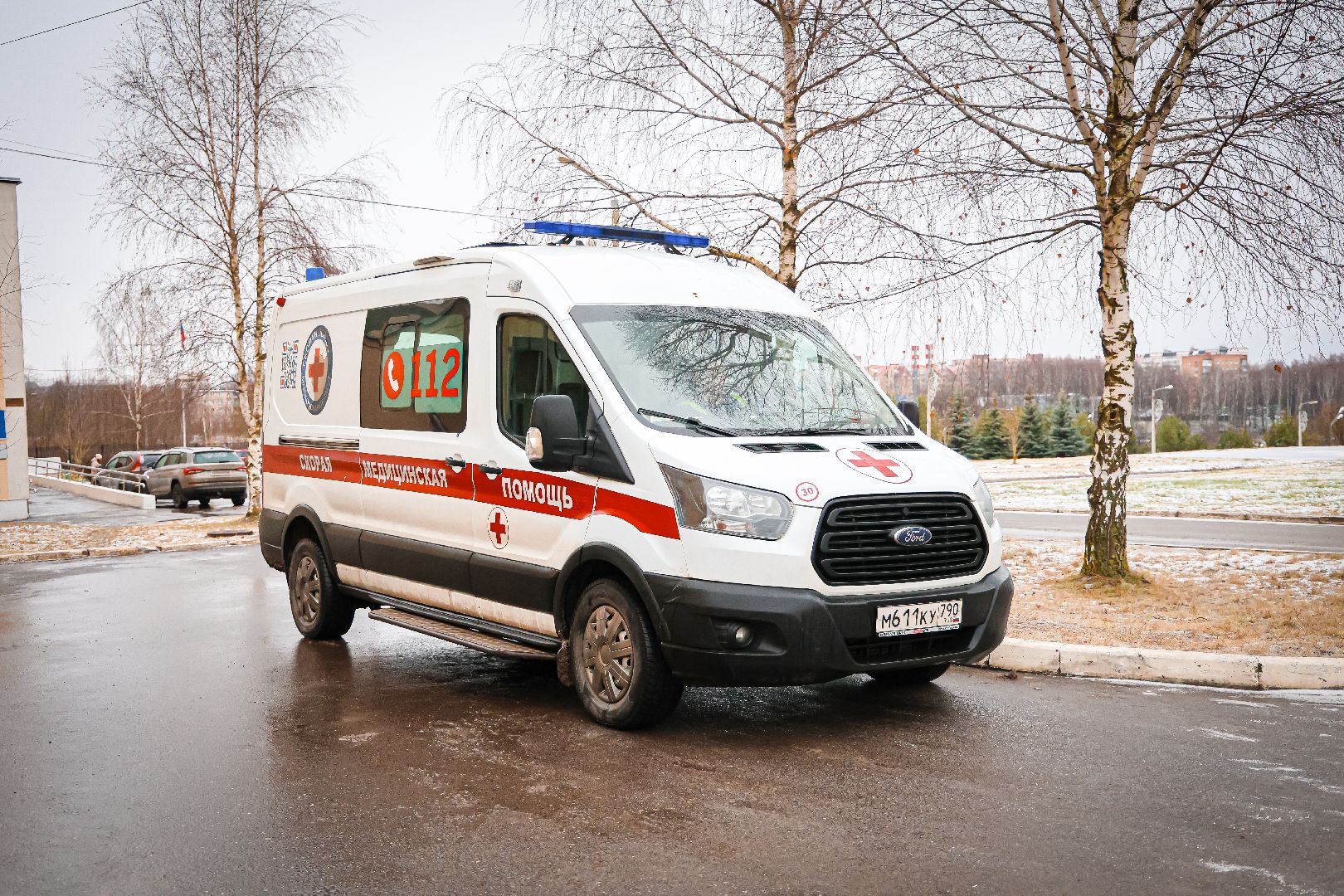 клин, общество, благоустройство, медицина,