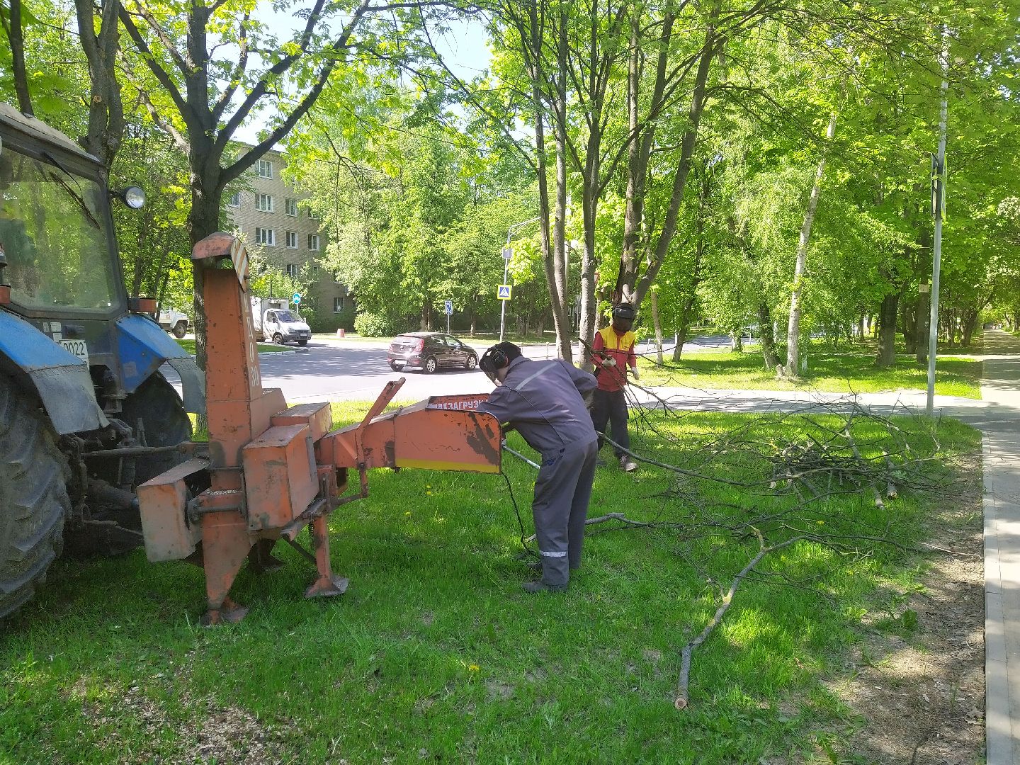 Долгопрудный, опиловка, деревья, ветки