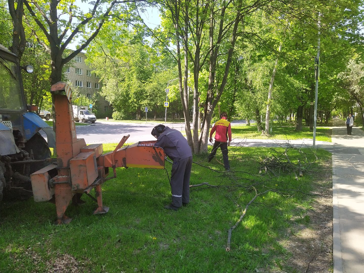 Долгопрудный, опиловка, деревья, ветки