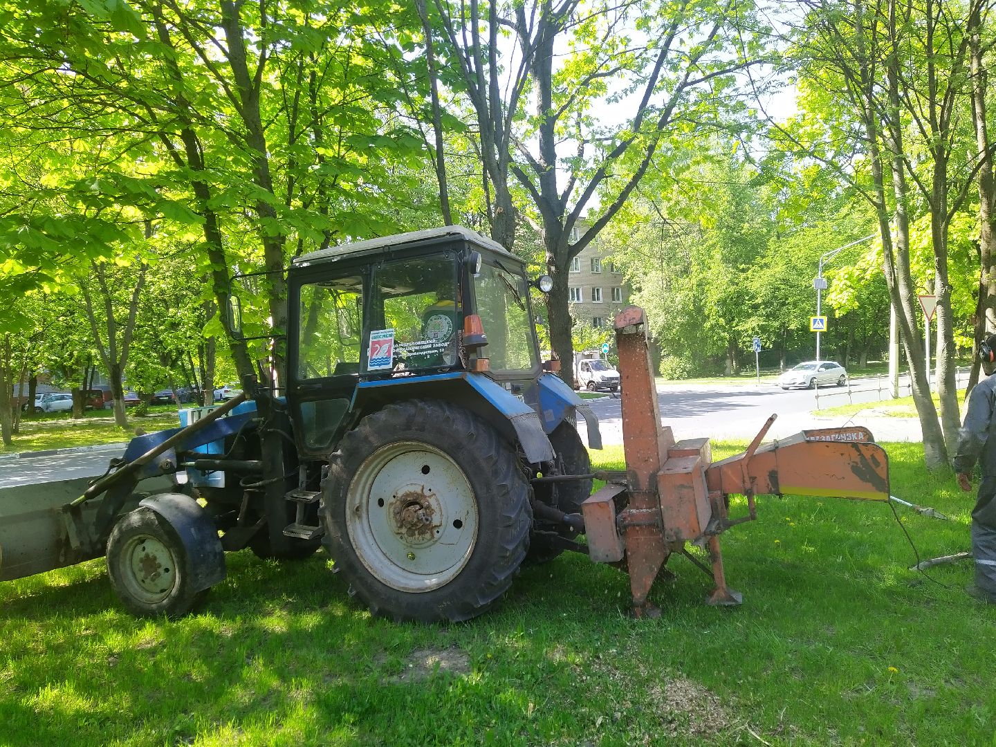 Долгопрудный, опиловка, деревья, ветки