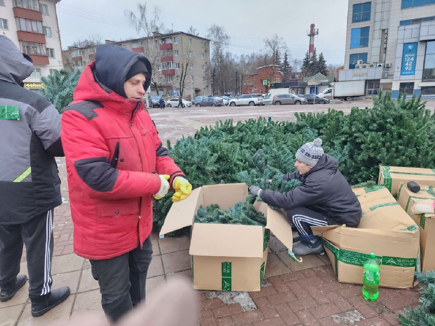 солнечногорск, новогодняя елка, праздник,