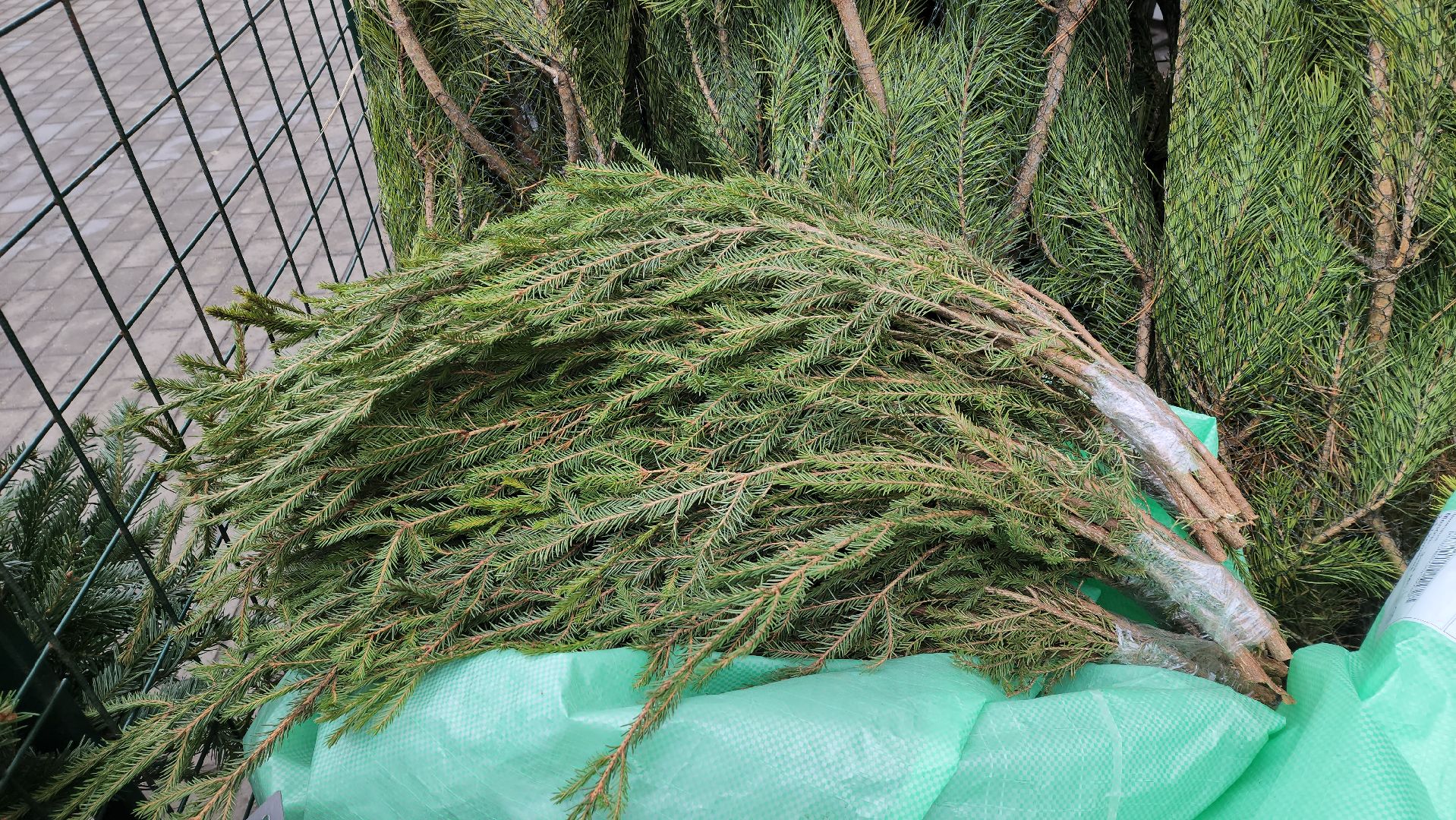 луховицы, елочный базар, зима в подмосковье, новый год 2026,