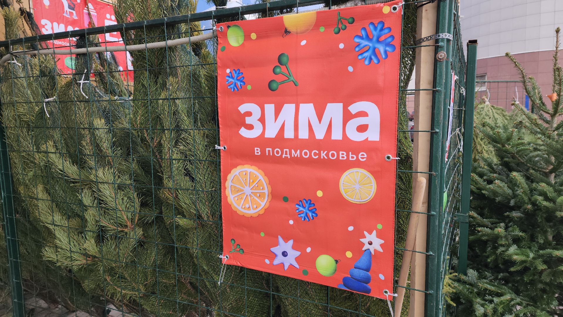 луховицы, елочный базар, зима в подмосковье, новый год 2026,