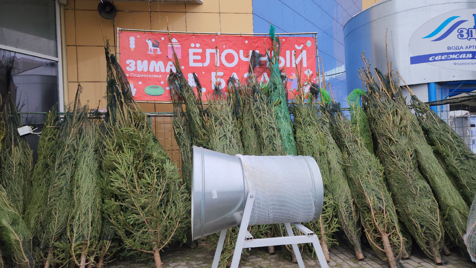 луховицы, елочный базар, зима в подмосковье, новый год 2026,