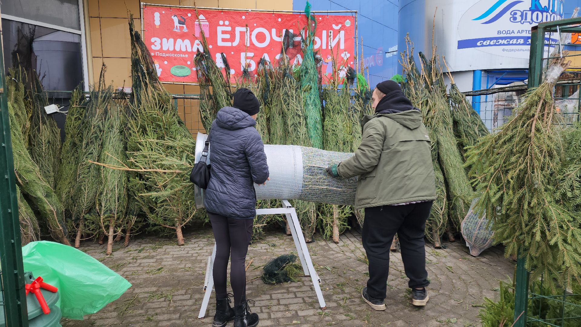 луховицы, елочный базар, зима в подмосковье, новый год 2026,
