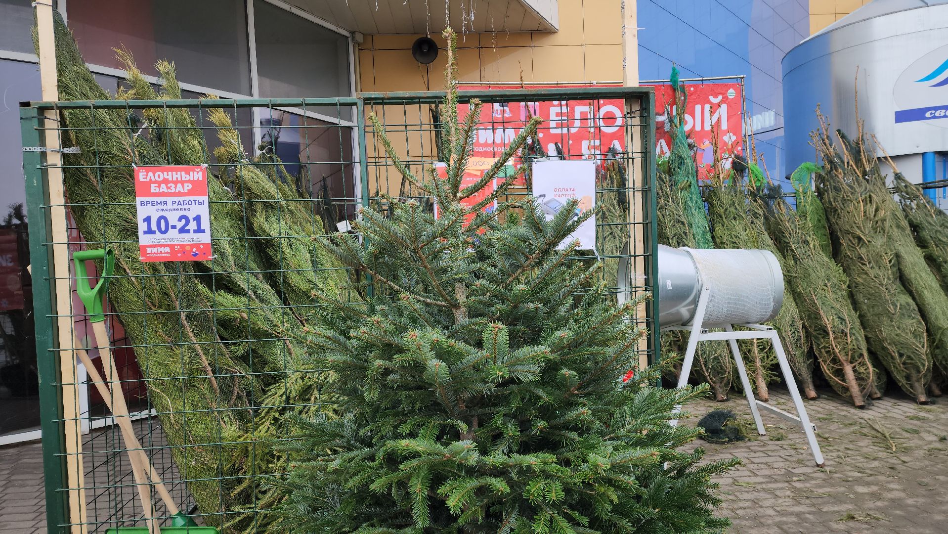 луховицы, елочный базар, зима в подмосковье, новый год 2026,