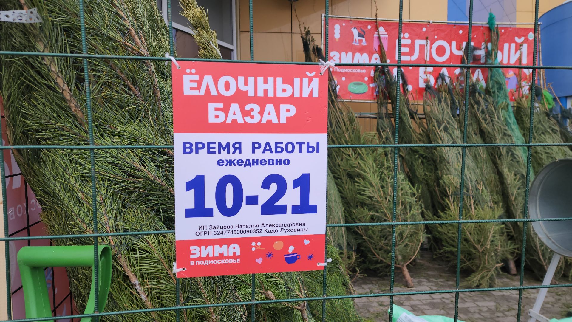 луховицы, елочный базар, зима в подмосковье, новый год 2026,