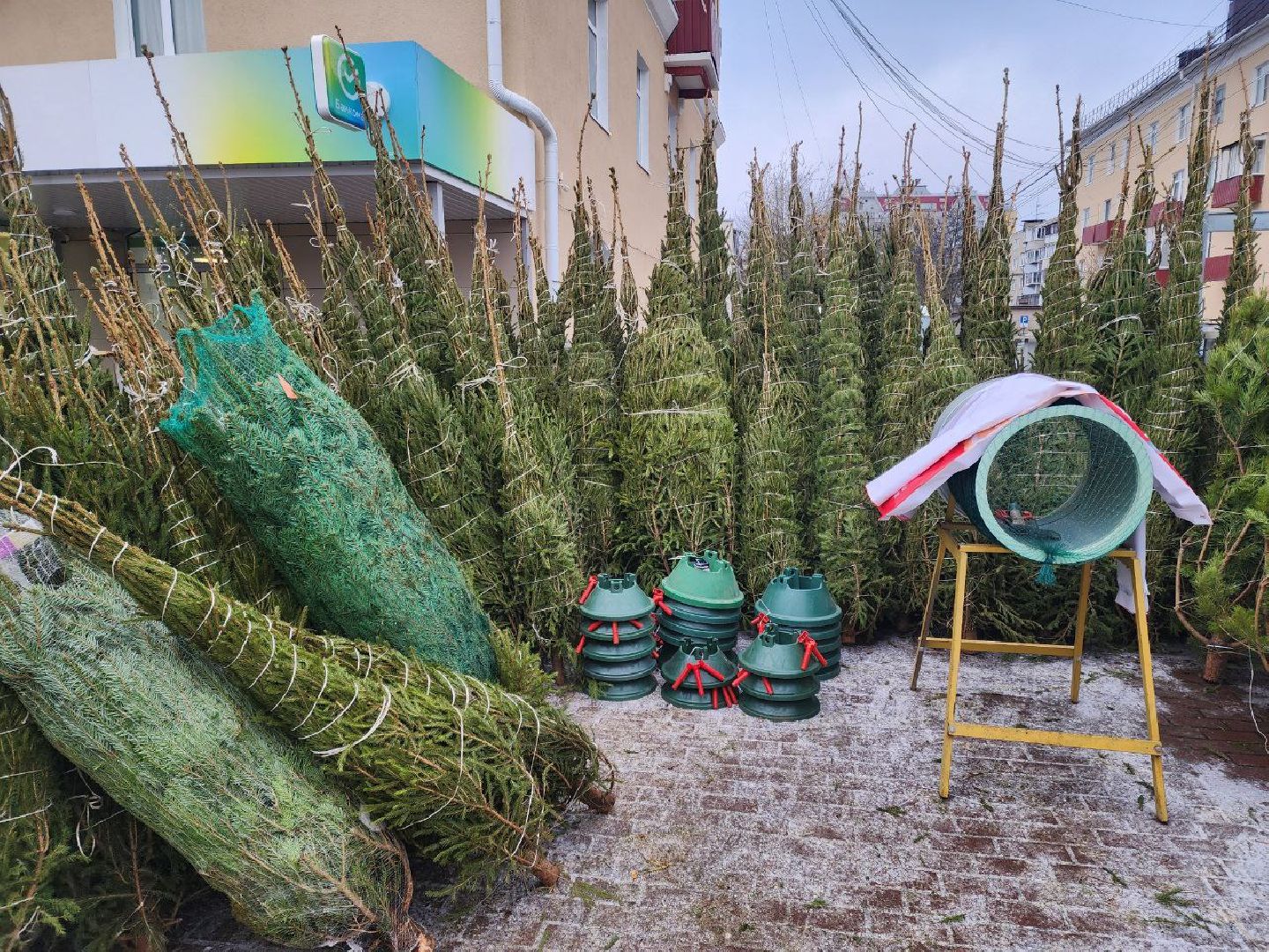 солнечногорск, елочный базар, новый 2026 год,