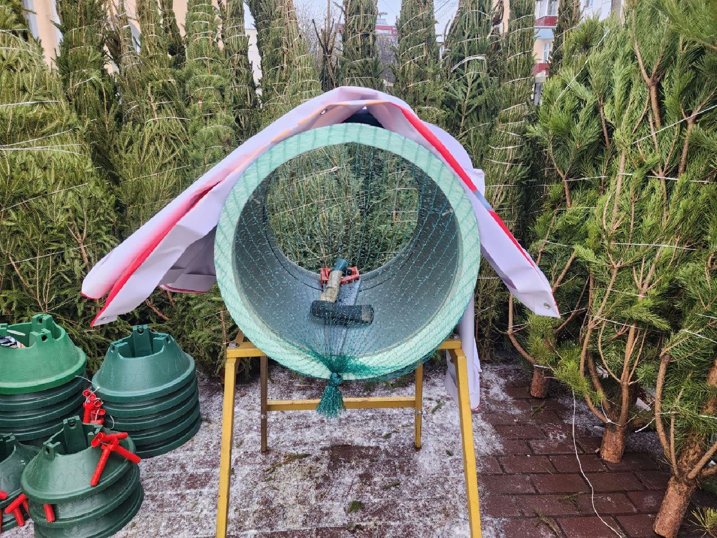 солнечногорск, елочный базар, новый 2026 год,