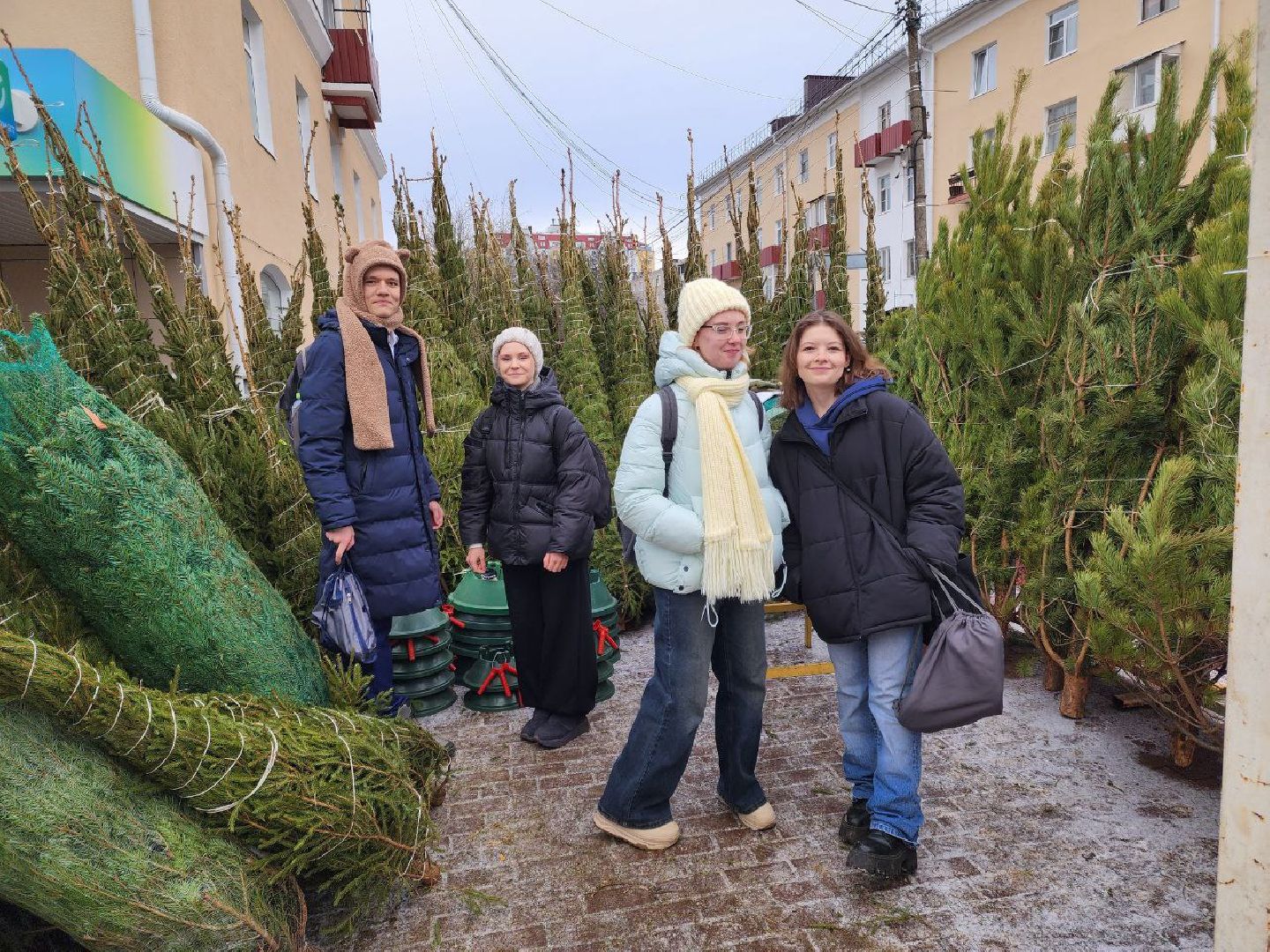 солнечногорск, елочный базар, новый 2026 год,