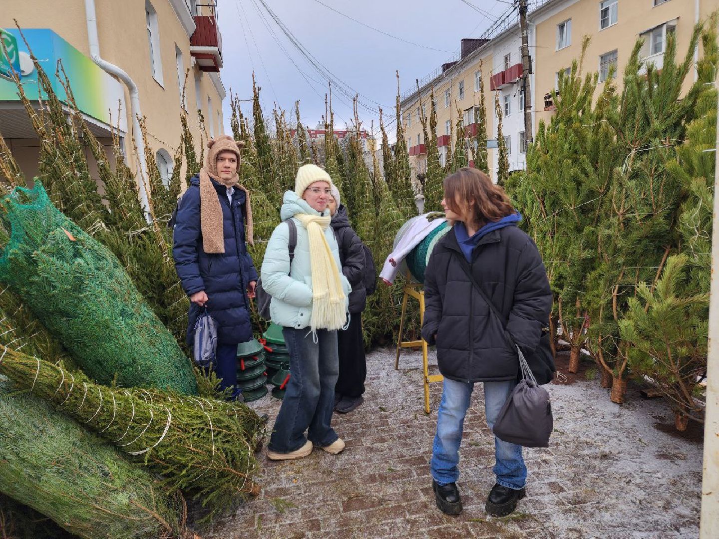 солнечногорск, елочный базар, новый 2026 год,