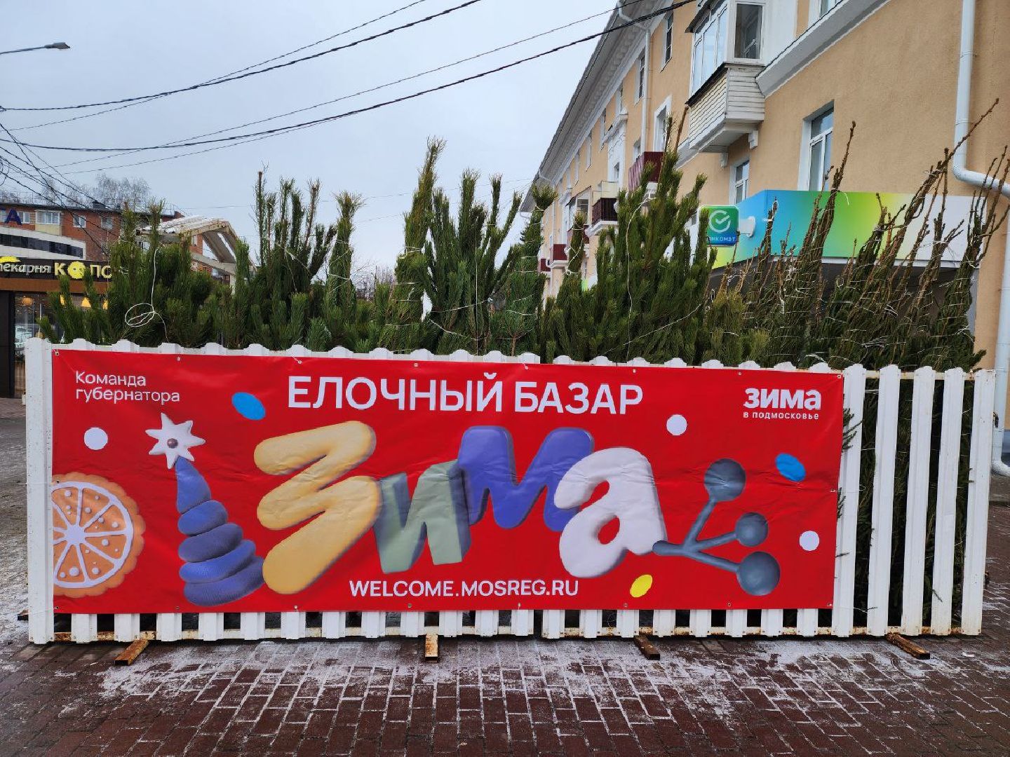 солнечногорск, елочный базар, новый 2026 год,