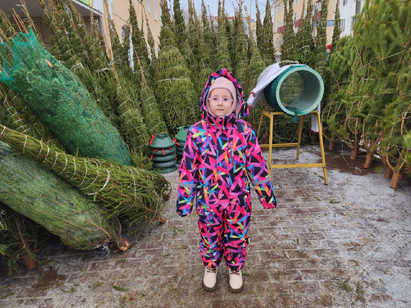 солнечногорск, елочный базар, новый 2026 год,