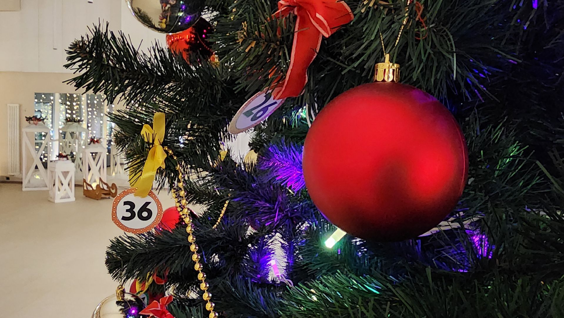 елка желаний, протвино, новогодние подарки,