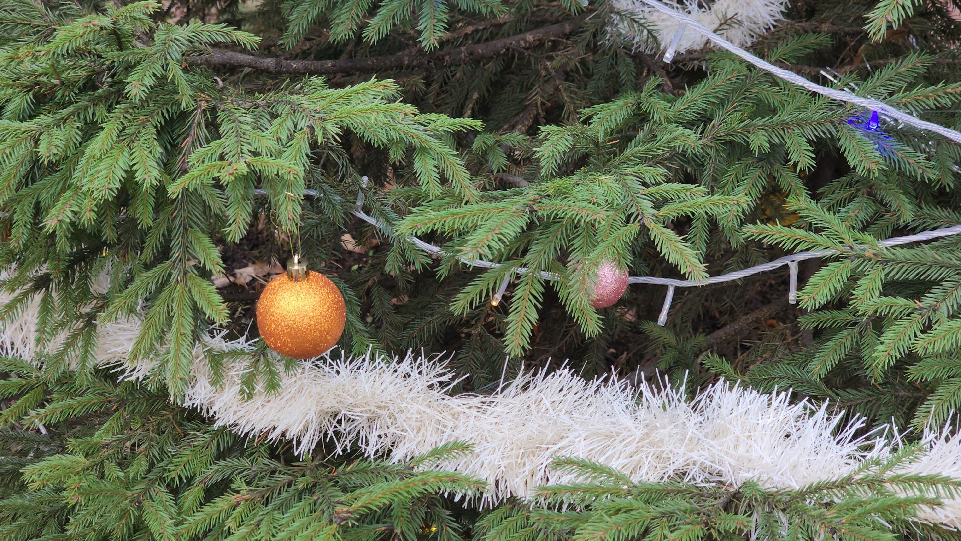 королёв, Молодежный центр космос, Никольский фестиваль,