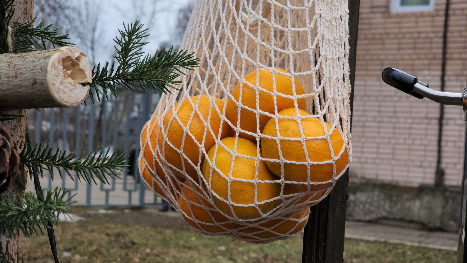 королёв, Молодежный центр космос, Никольский фестиваль,