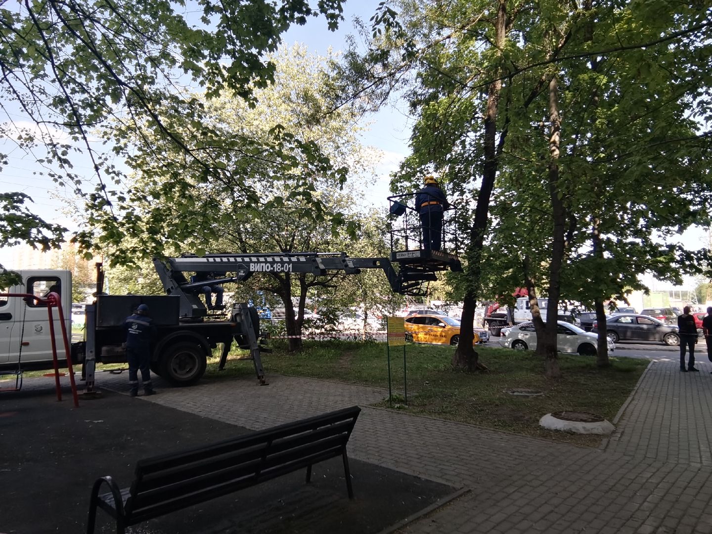 Балашиха, дерево, аварийное дерево, растения, улица Советская дом 24, Благоустройство, автовышка, бригада, спиливание веток, пень