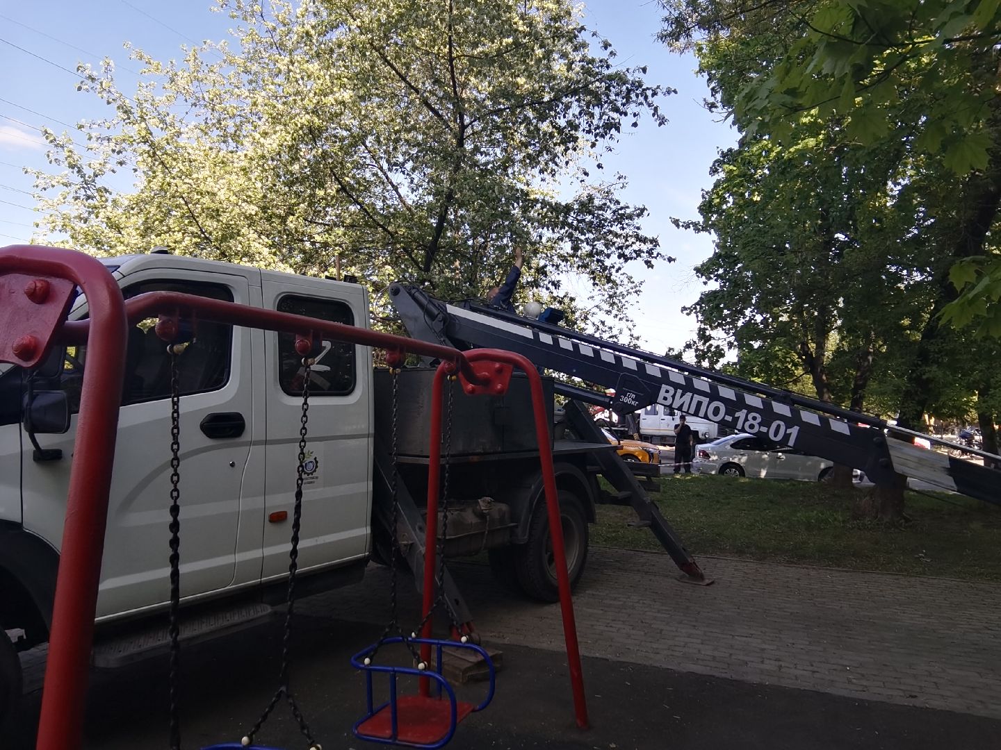 Балашиха, дерево, аварийное дерево, растения, улица Советская дом 24, Благоустройство, автовышка, бригада, спиливание веток, пень