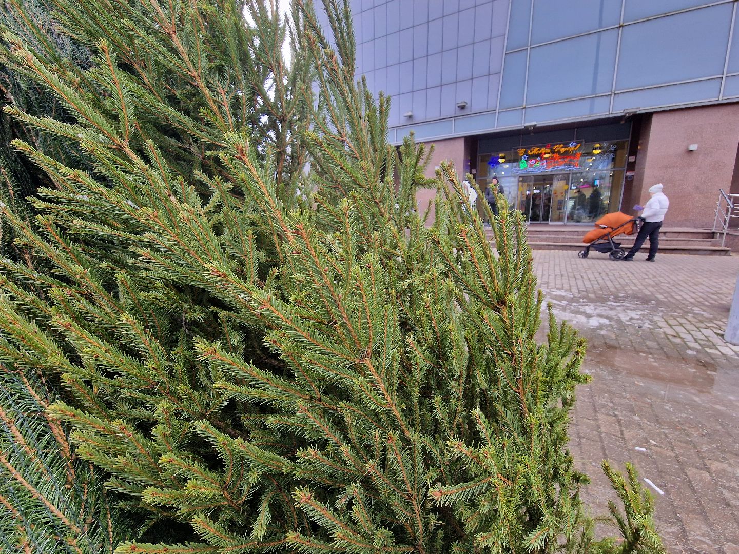 воскресенск, елочные базары,