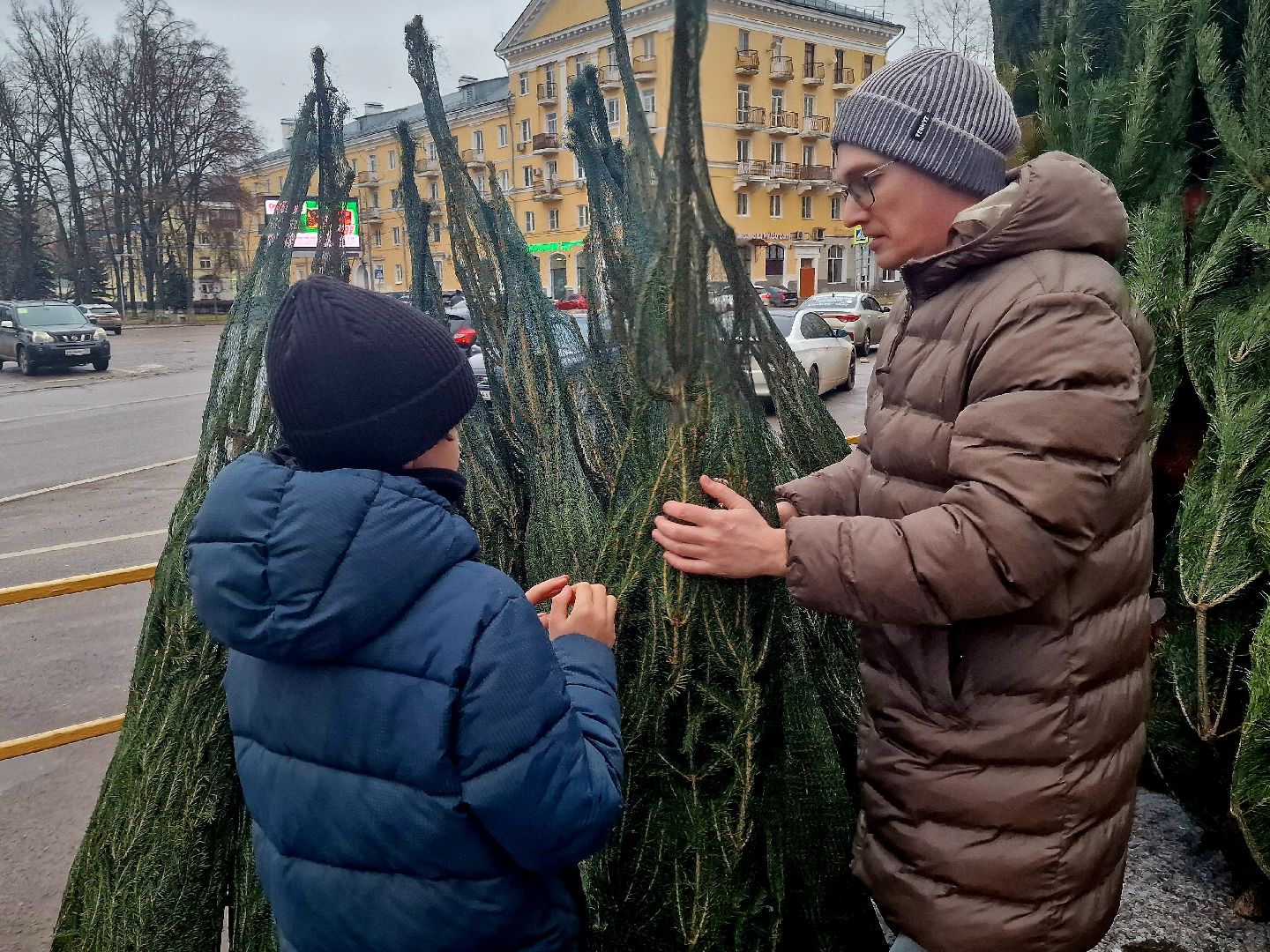 воскресенск, елочные базары,