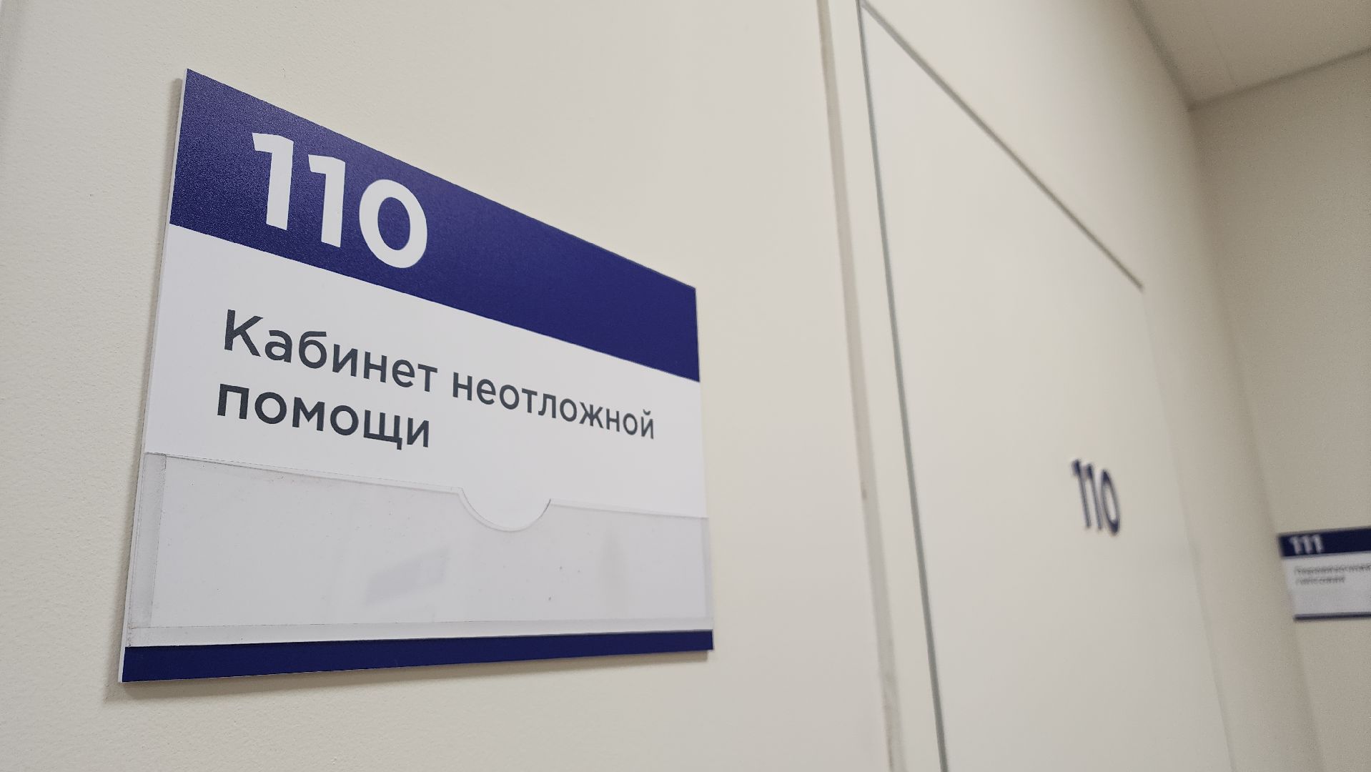 медицина, грипп, орви, лосино-петровский, вакцинация,