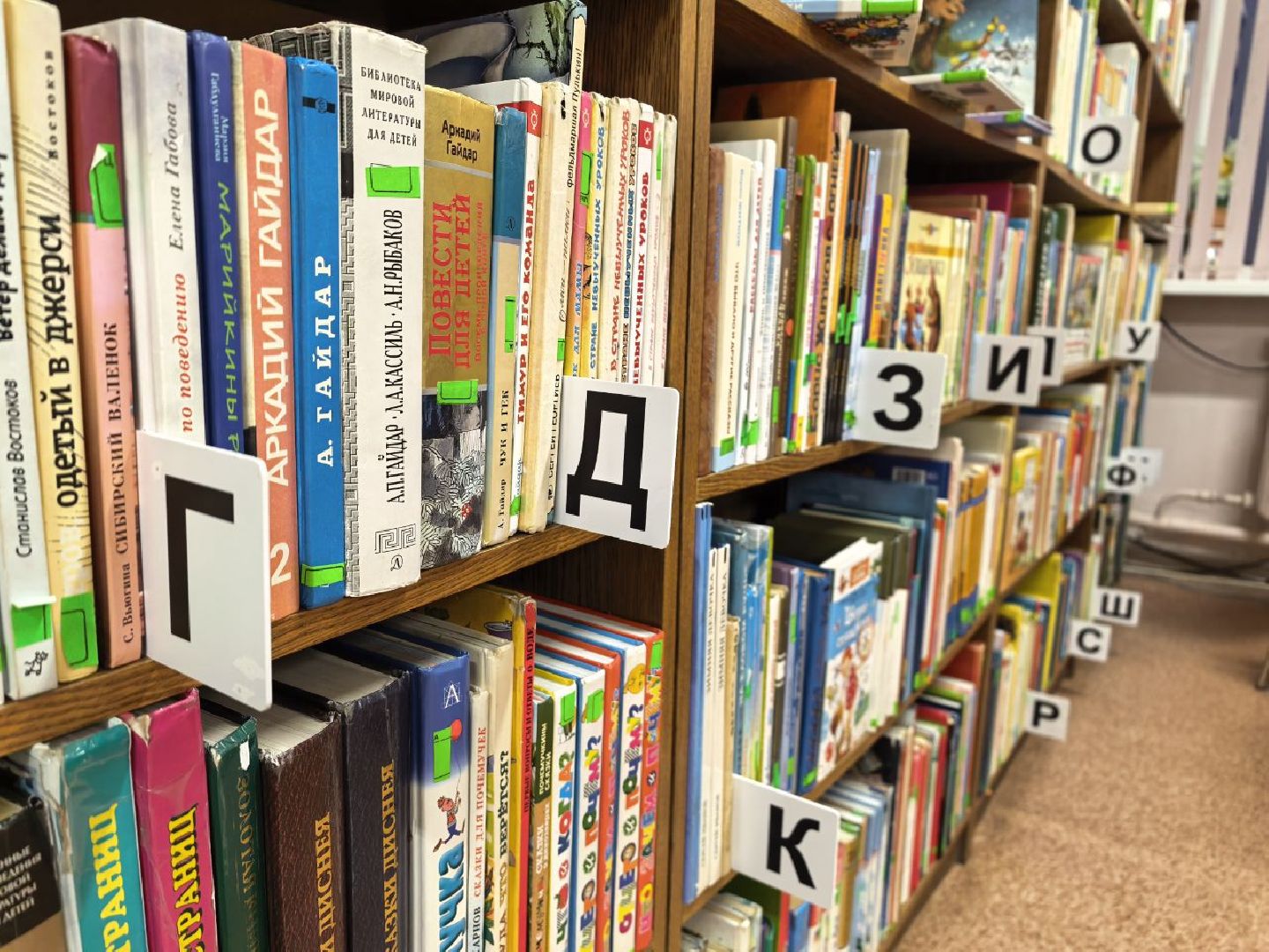 цбс, цифровизация библиотек, серебряные пруды, активное долголетие, серебряные полонтеры, культура, инвентаризация библиотек,