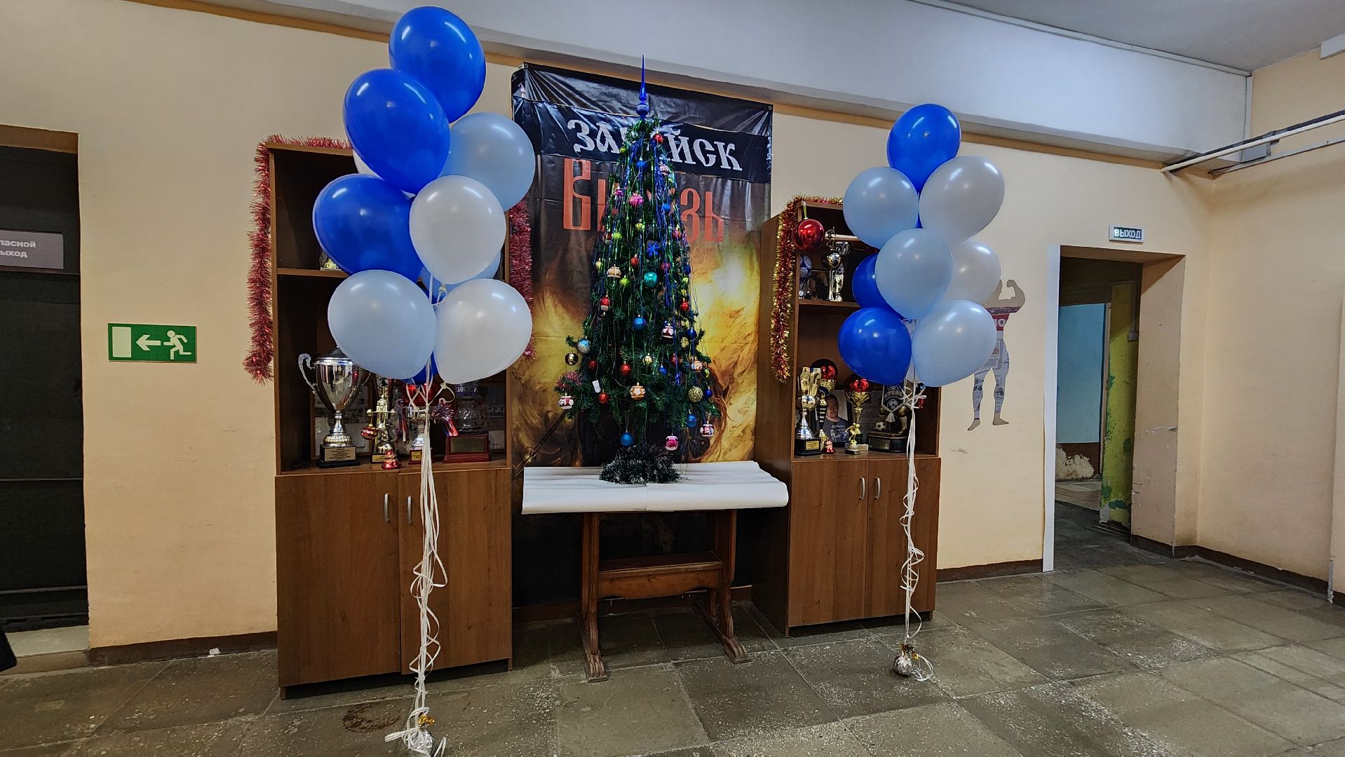 Зарайск, Спорт, спортивный клуб витязь, Открытие после ремонта,