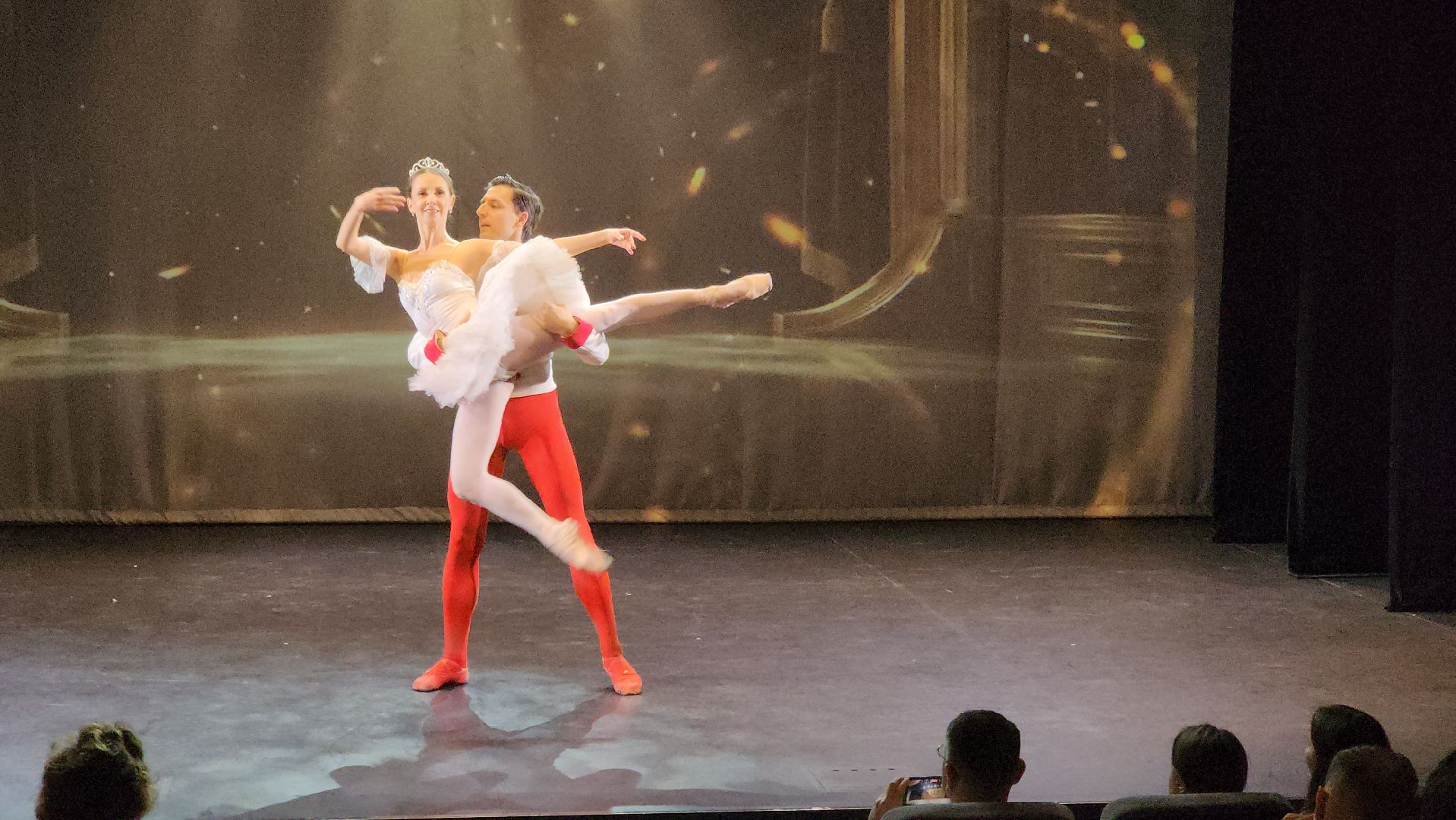 долгопрудный, мфти, рукод, алгоритмическое программирование, ИТ-сфера, школьники, студенты, новогодние праздники,