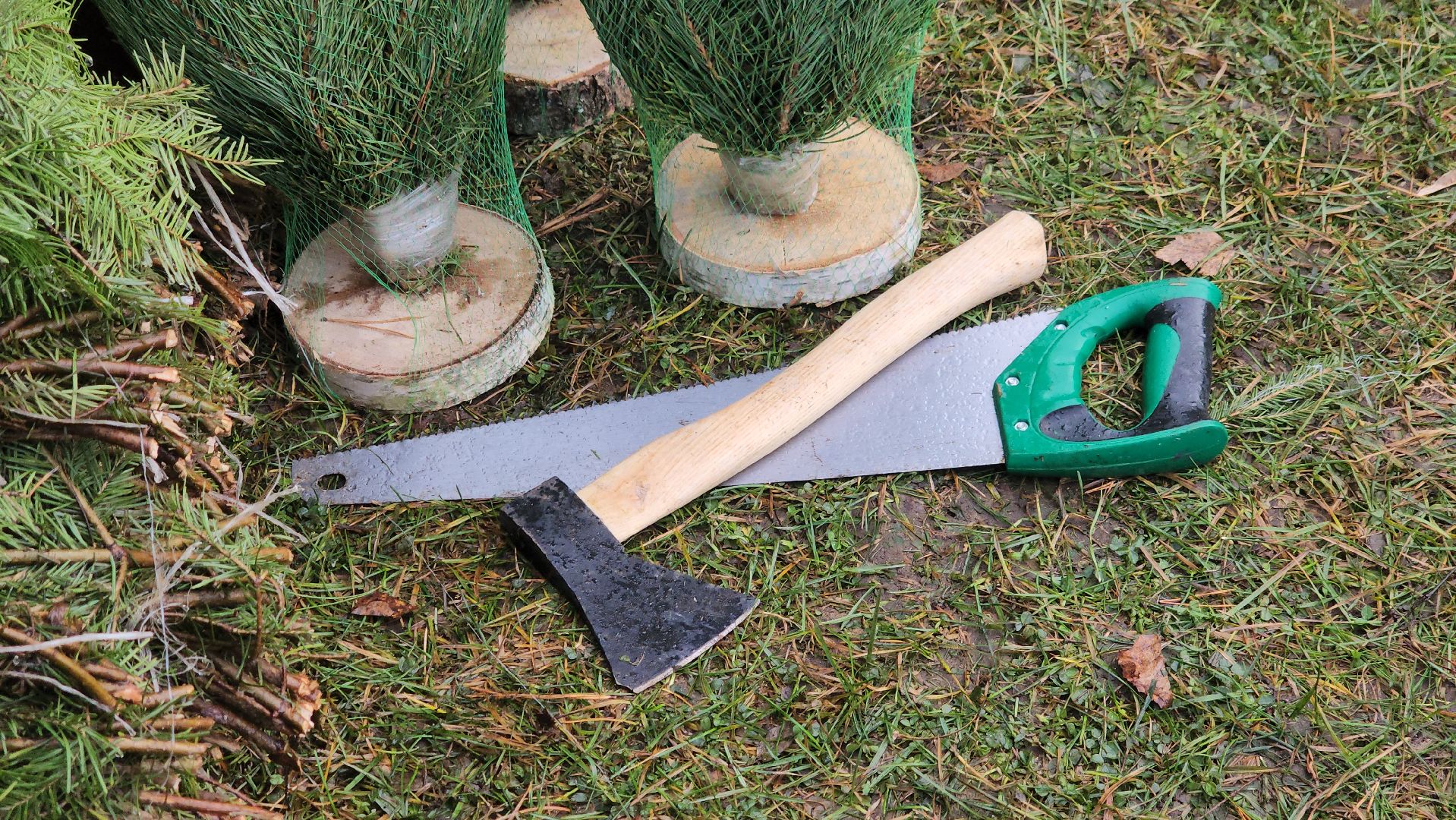 королёв, елочные базары, Елки в Королеве,