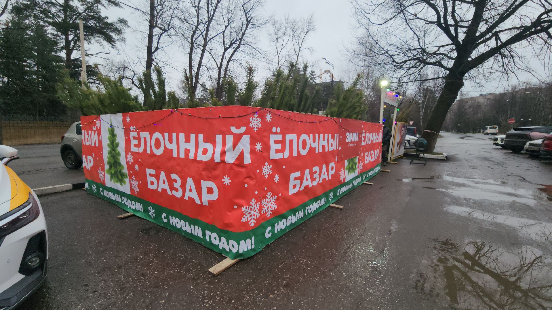 королёв, елочные базары, Елки в Королеве,