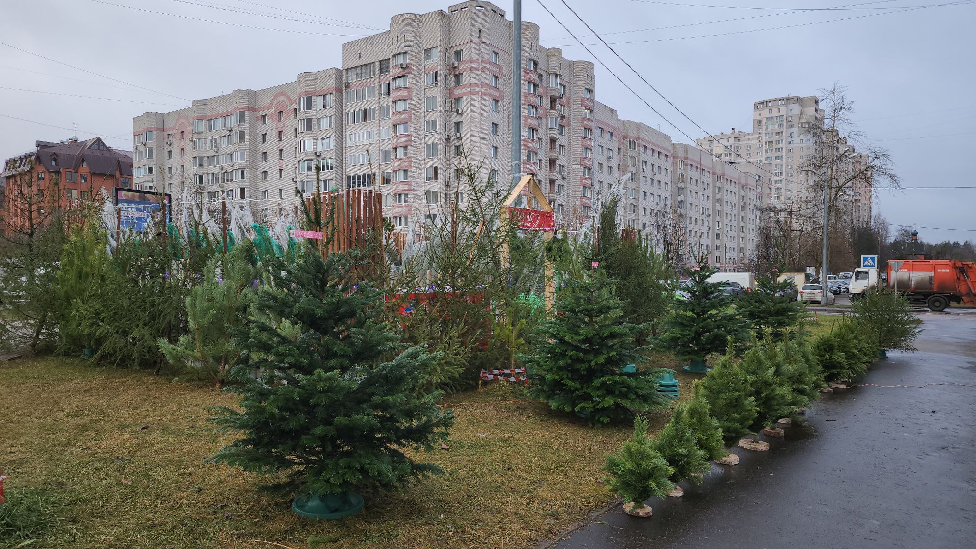 королёв, елочные базары, Елки в Королеве,