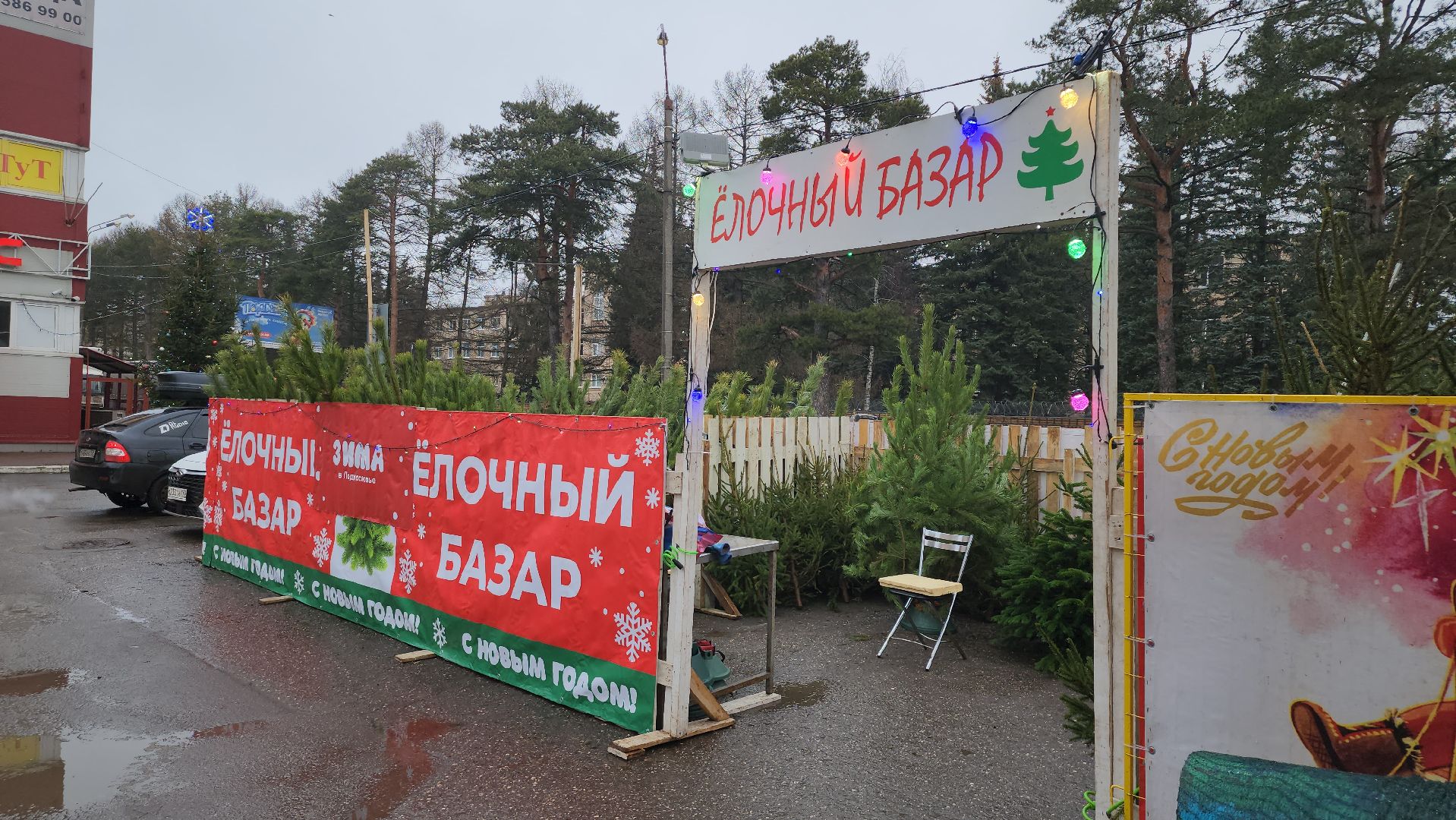 королёв, елочные базары, Елки в Королеве,