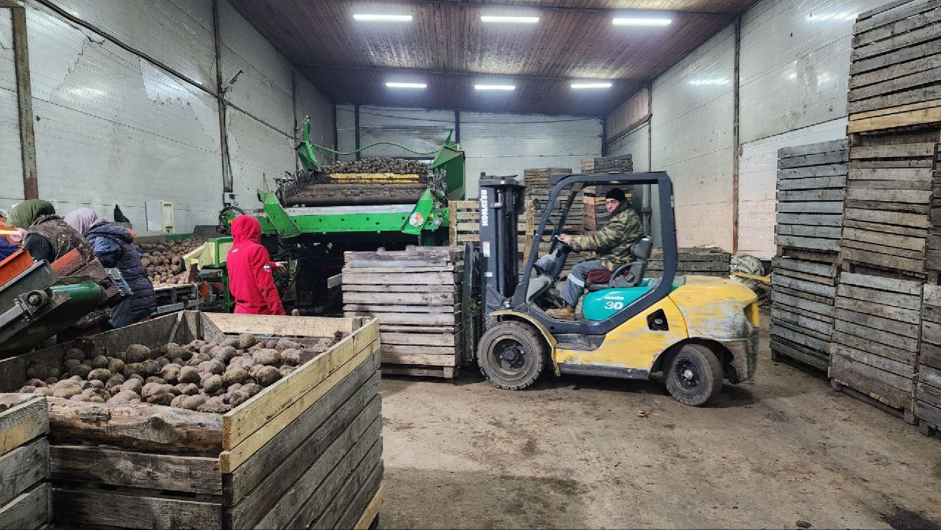 Дмитров, Мосагрофуд-Д, Минсельхоз,