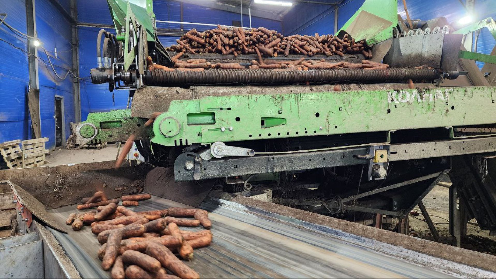 Дмитров, Мосагрофуд-Д, Минсельхоз,