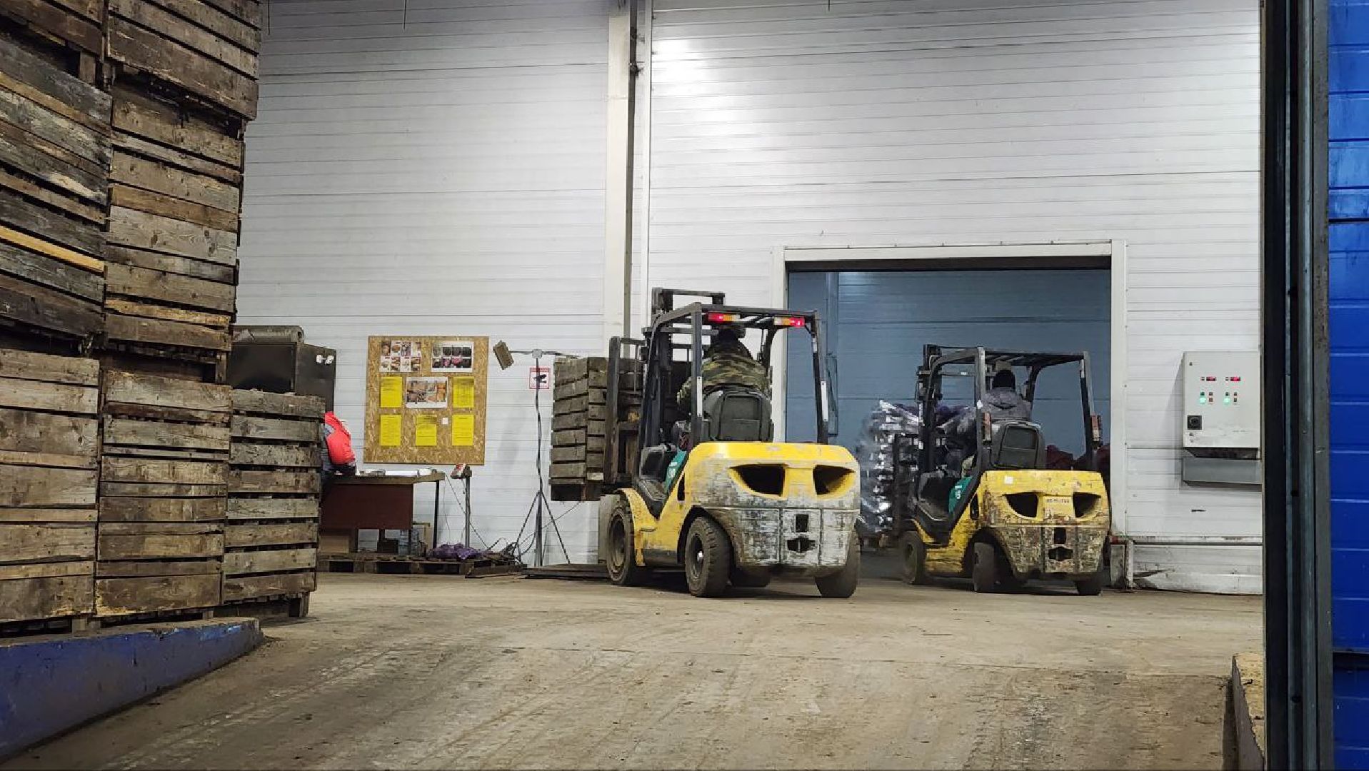 Дмитров, Мосагрофуд-Д, Минсельхоз,