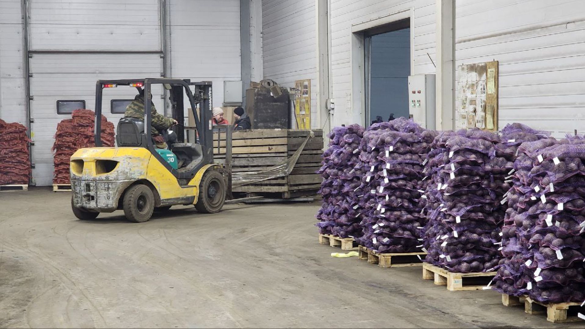 Дмитров, Мосагрофуд-Д, Минсельхоз,