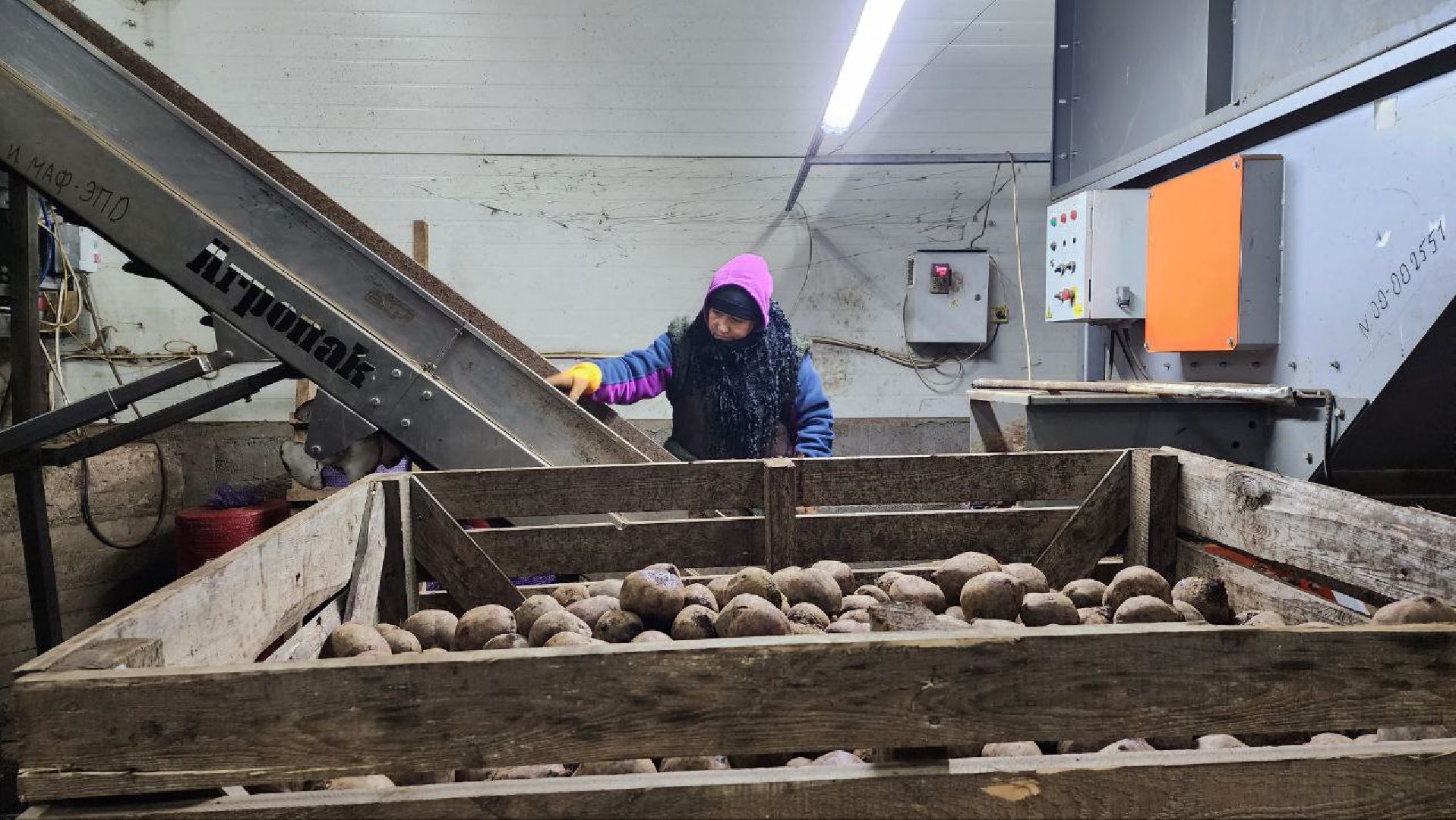 Дмитров, Мосагрофуд-Д, Минсельхоз,