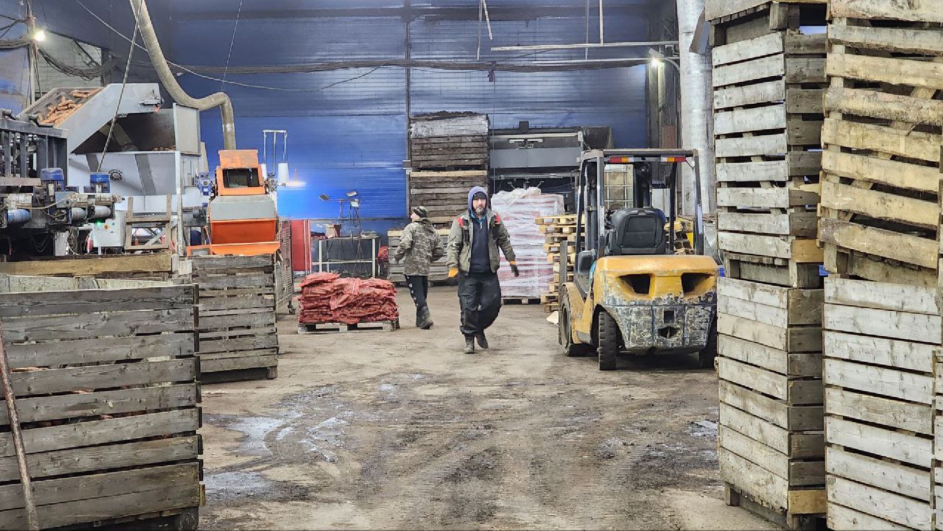 Дмитров, Мосагрофуд-Д, Минсельхоз,