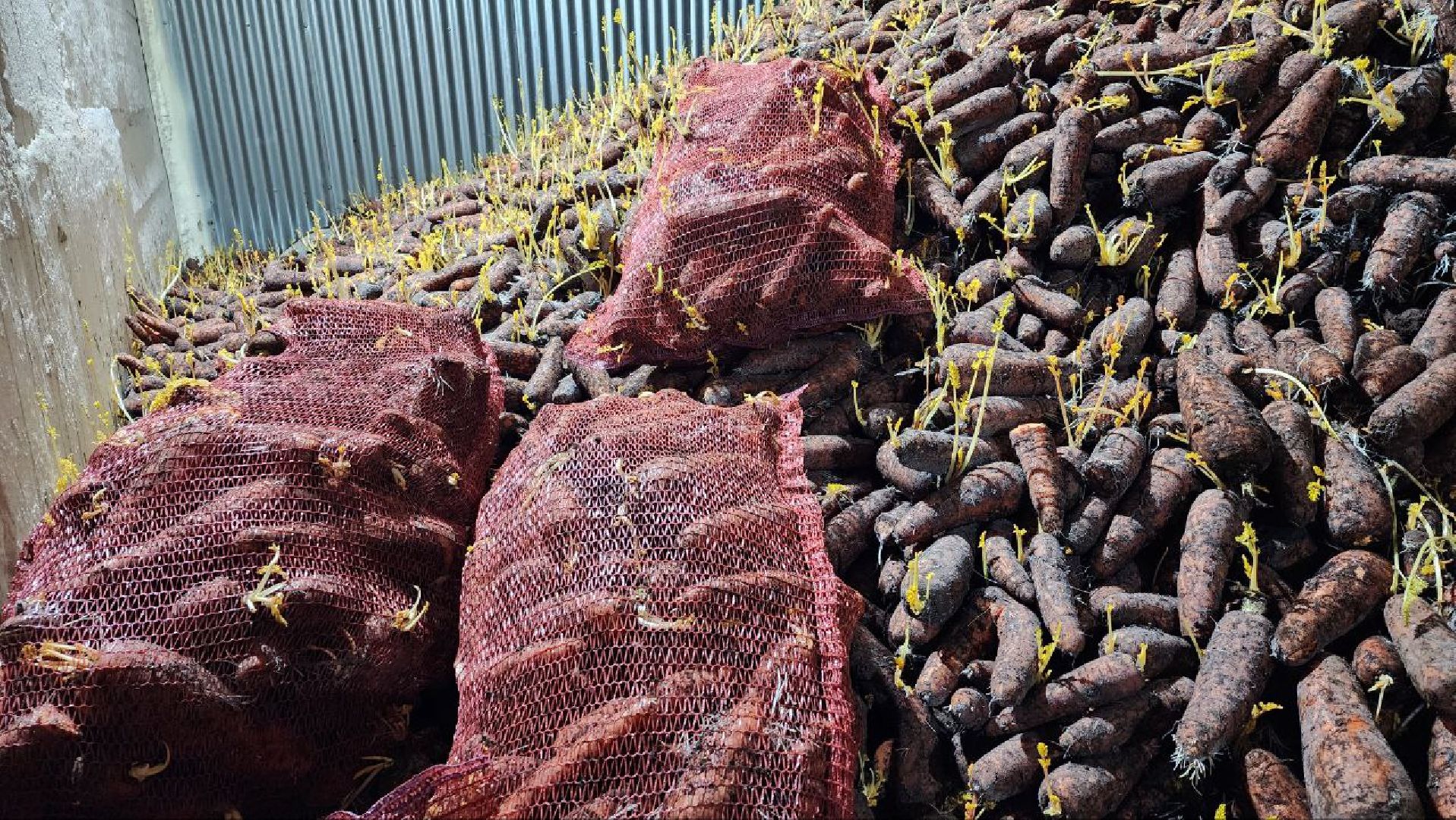 Дмитров, Мосагрофуд-Д, Минсельхоз,